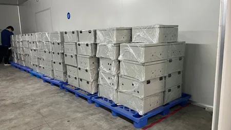 warehouse-1